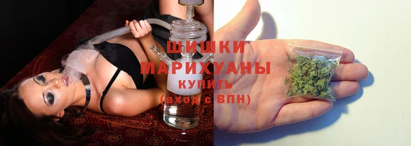 гидра Армянск
