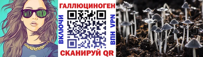 Галлюциногенные грибы Cubensis  Купить  Тейково 
